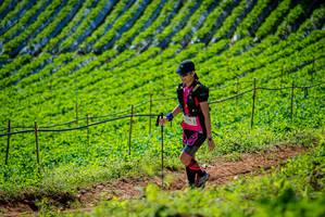 BIB: 
                            <button type="button" onclick="openModal(19162639)" class="btn btn-primary btn-sm float-right btn-popup" data-toggle="modal" data-target=".modal-high-quality">
                        <i class="fas fa-shopping-cart"></i> Add to Cart
                    </button>
                                            <button type="button" onclick="isThisMe(19162639, true)" class="btn btn-success btn-sm float-right btn-popup btn-isme hidden" data-toggle="tooltip" data-placement="bottom" title="นี่คือรูปของคุณใช่ไหม คลิกที่นี่เพื่อเอาเข้าอัลบั้ม">
                        <i class="fas fa-plus"></i> Add to album
                    </button>
                    <button type="button" onclick="isThisMe(19162639, false)" class="btn btn-warning btn-sm float-right btn-popup btn-isnotme hidden">
                        <i class="fas fa-ban"></i> Remove from album
                    </button>